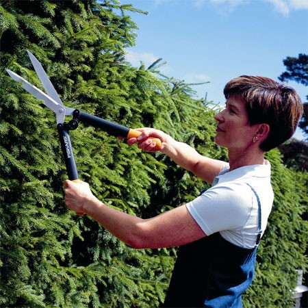Acheter Cisaille de taille pour jardin et horticulture, outil de