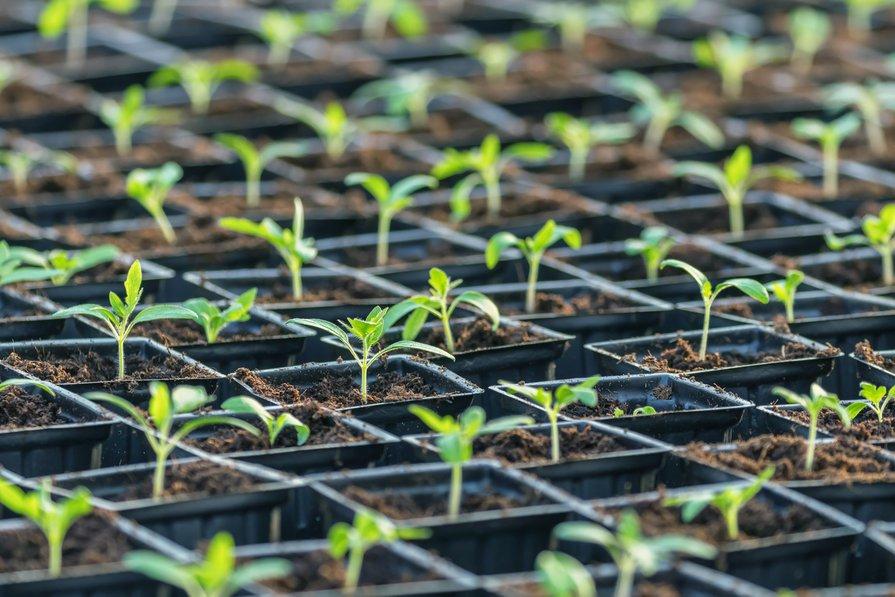 Vous découvrirez de nombreuses pépites en sortant des plus connues