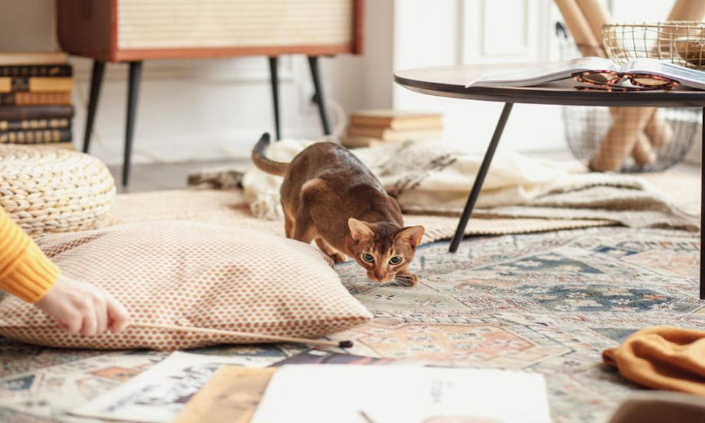 Comment fabriquer ces jouets maisons ?