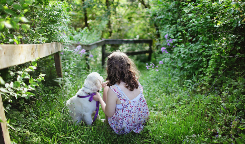 15 Races De Chiens Idéales Pour Les Enfants Jardiland