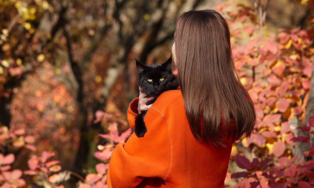 Selon la SPA seulement 10% des chats noirs en refuge sont adoptés.