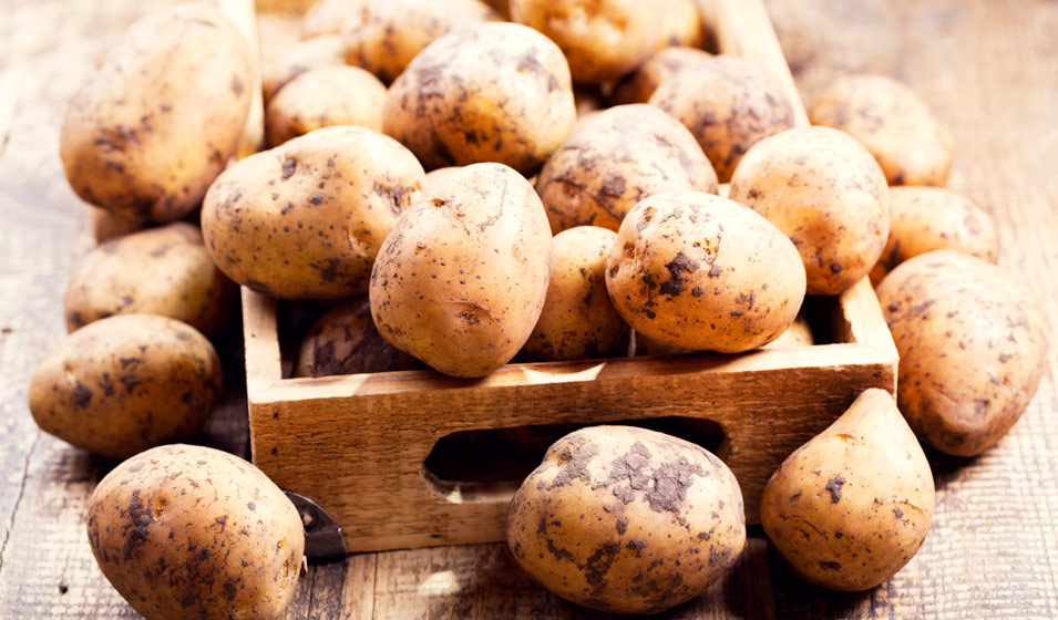 Comment conserver les pommes de terre de garde ?