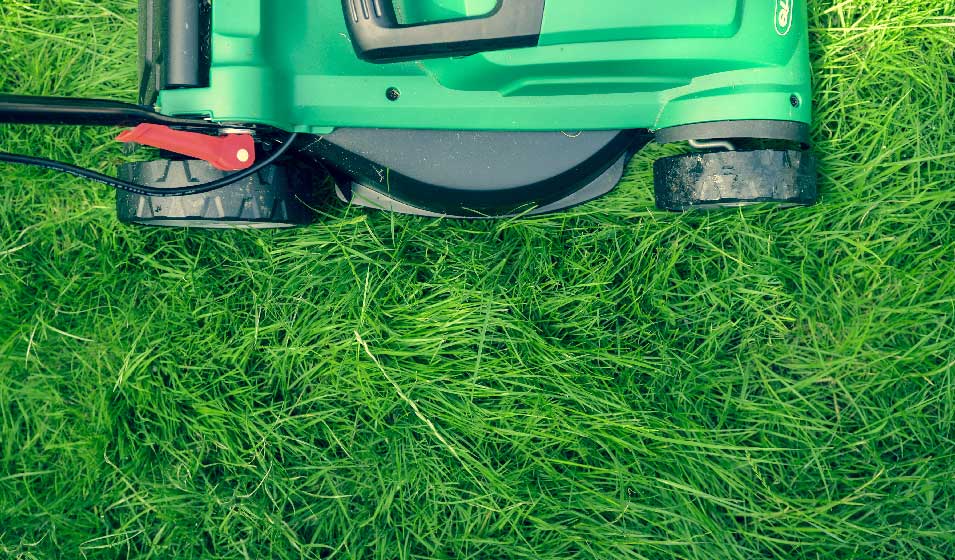 4 secrets pour bien vivre votre pelouse - Réussir le gazon : implanter,  entretenir, rénover une pelouse en semant le bon gazon