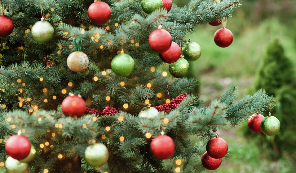 Quelles décorations de Noël pour embellir son extérieur ? 