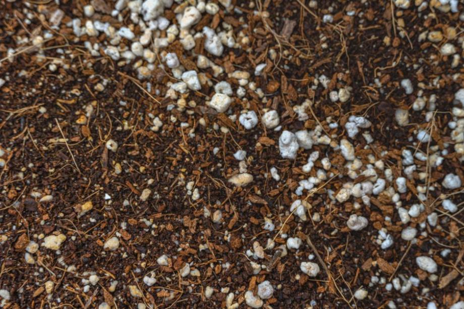 Perlite et vermiculite: quelle est la différence, en quoi elles diffèrent,  comment l'appliquer