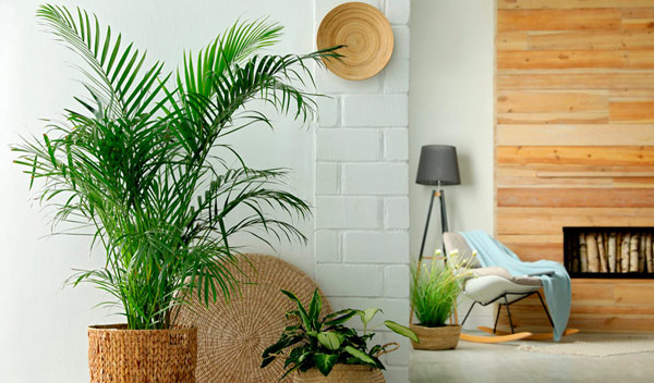 Mur de Plantes Artificielles pour sublimer votre intérieur