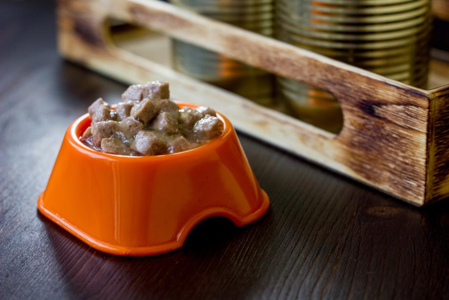 Pâtées pour chat