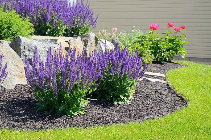 Le mulch minéral convient très bien aux plantes méditerranéennes