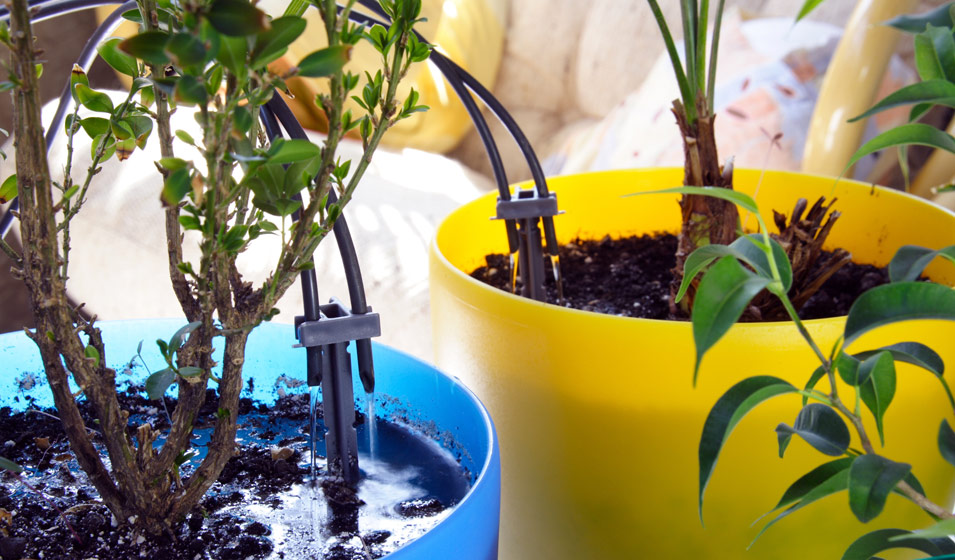 Outil d'arrosage automatique système d'arrosage d'irrigation goutte à  goutte d'intérieur abreuvoirs de plantes à fleurs en pot pour jardin