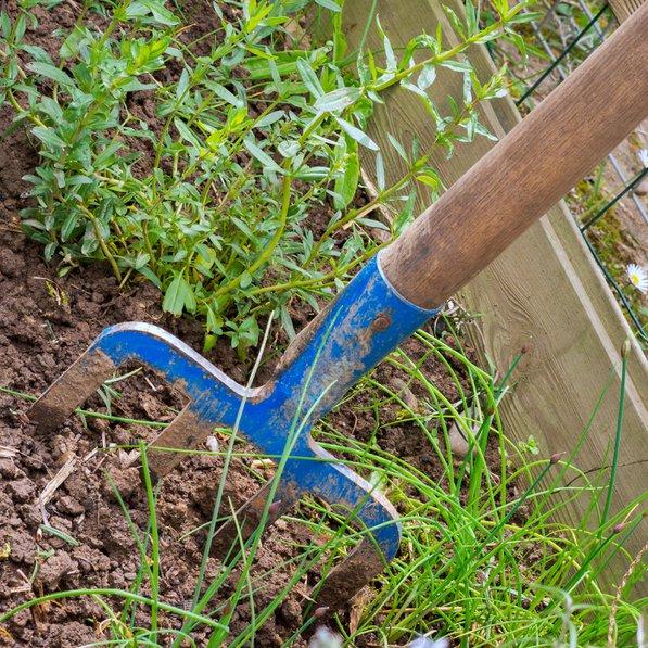 Quels sont les meilleurs outils pour jardiner sans se fatiguer ?