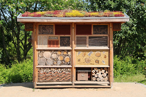 Les hôtels à insectes sont des abris pour les insectes auxiliaires du jardinier