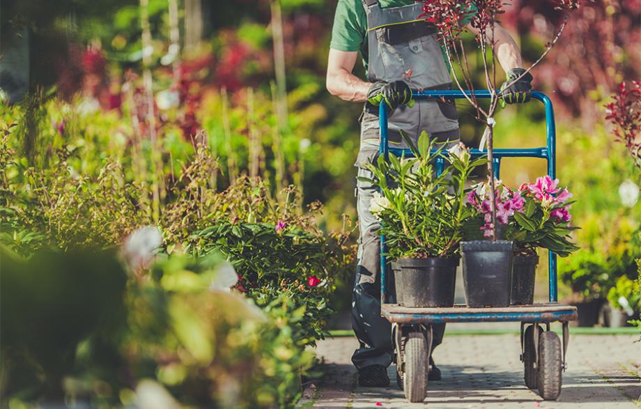 Achat en jardinerie