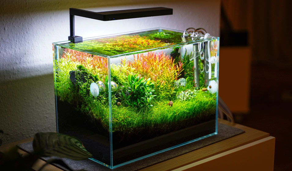Lampe Aquarium LED Pour Plante & Poisson Rampe D'Éclairage 90 cm