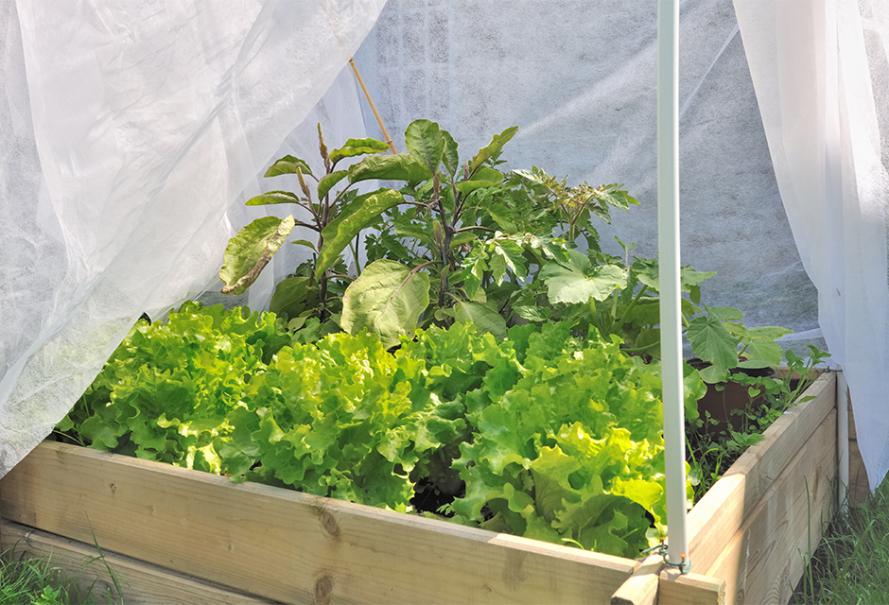 Protéger de l'hiver : les carrés de potager