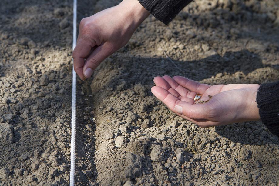 Pour planter et semer