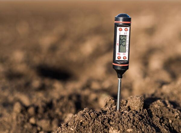 Comment mesurer le pH du sol ? - Gamm vert