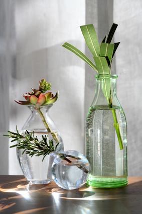 Pot en verre spécial bouture ou hydroponie - Les plantes/Vases et