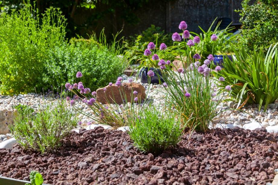 Un paillis minéral est tout à fait adapté aux plantes méditerranéennes