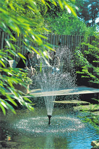 Pompes de bassins jardins : Pompes de bassins d