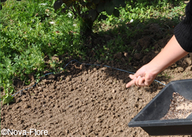 Travailleur De Jardin Avec Semis De Graines D'herbe De Pelouse