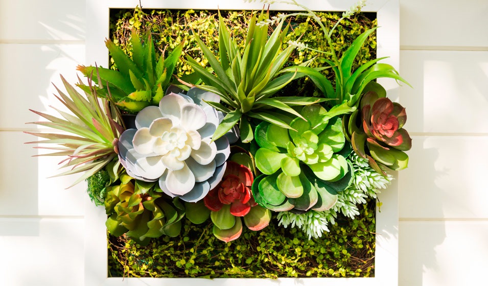 Tableau végétal à accrocher ou à poser, 2 types de plantes, Décoration  florale