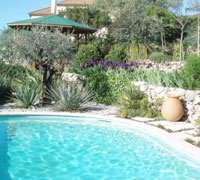 Optez pour des plantes aux feuillages doux et argenté - Photo Vos Idées Jardins
