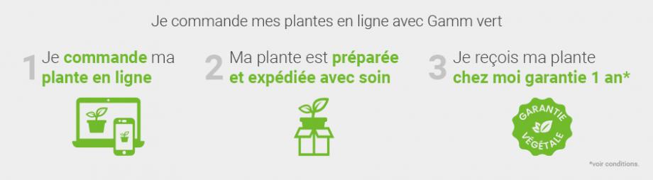 Commandez en ligne sur Gamm vert