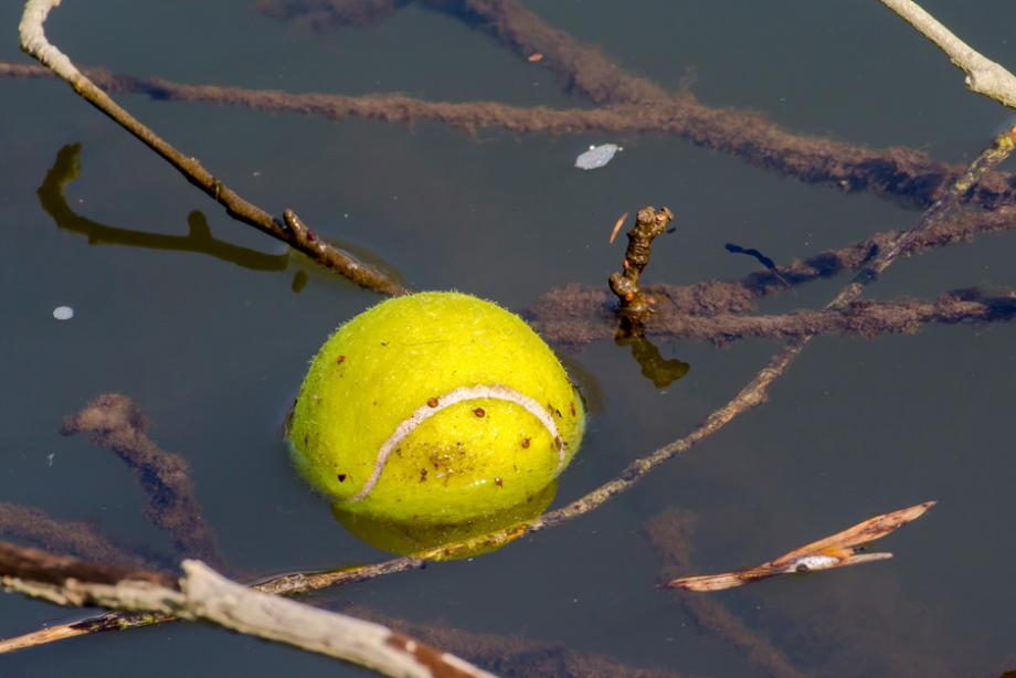 Balle de tennis