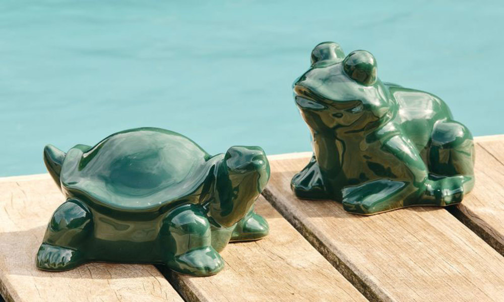 Faites semblant d'avoir une grenouille au bord du bassin