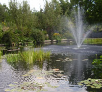 Jet d'eau
