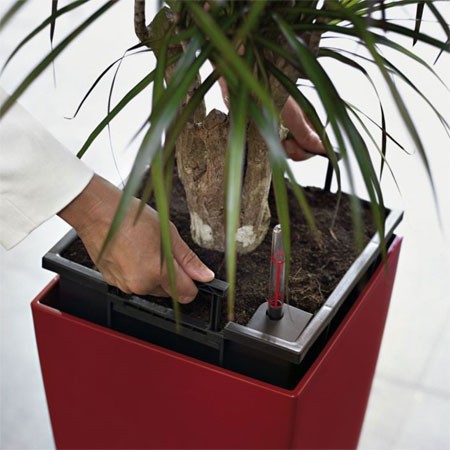 com-four® 4X arrosage Automatique pour Plantes d'intérieur - Distributeur  d'eau pour Plantes - cônes d'argile pour arroser Les Fleurs - hydrospikes