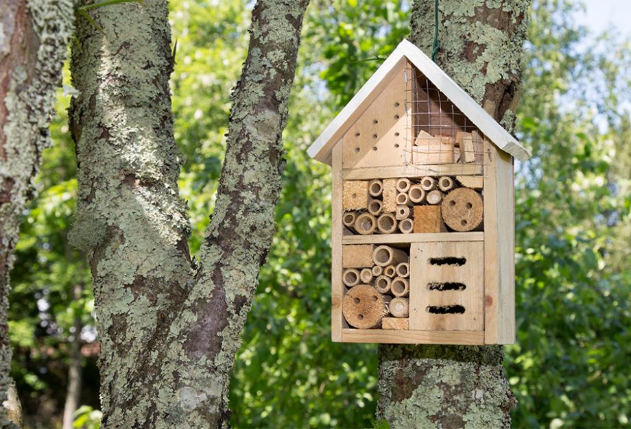 Hôtel à insectes