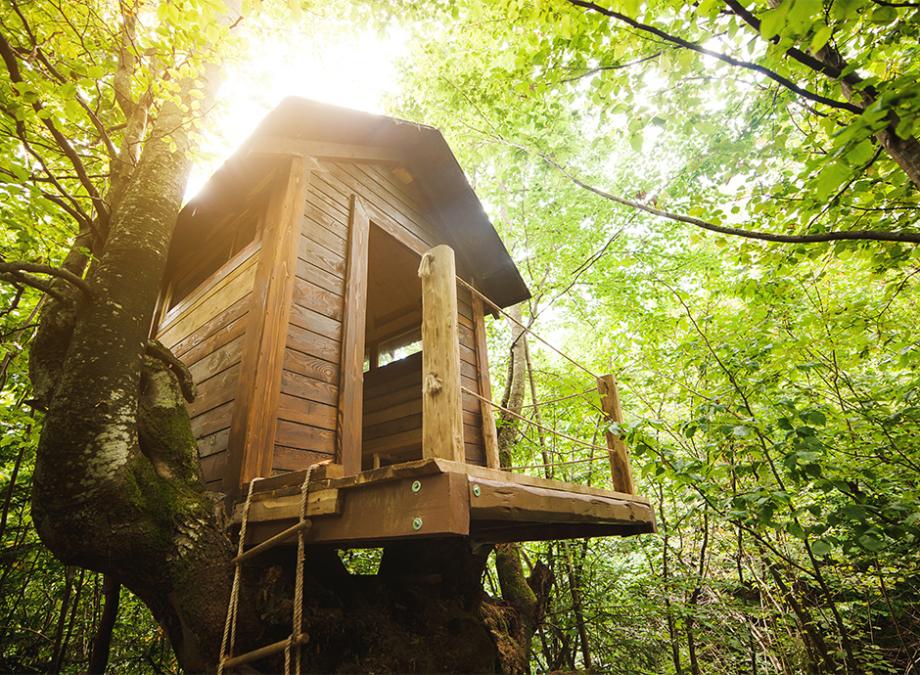 Cabane
