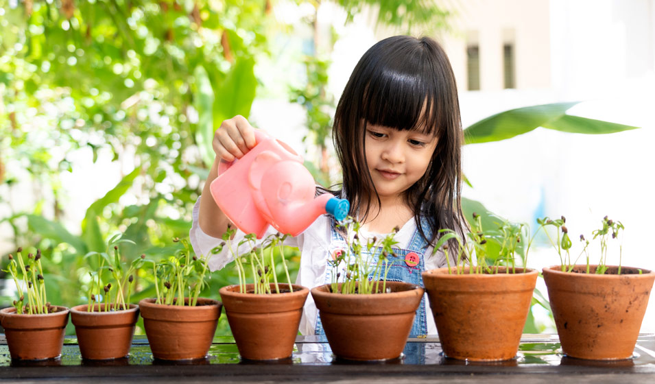 Kit serre plantes aromatiques prêt à pousser - Équipement potager -  Aménagement de jardin - Jardin et Plein air