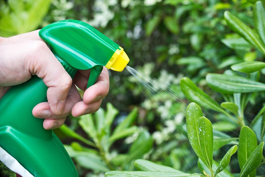 Jardin : une recette anti-mousse pour laver sa terrasse avec peu d'eau et  zéro produits chimiques