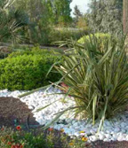 Jardin sec