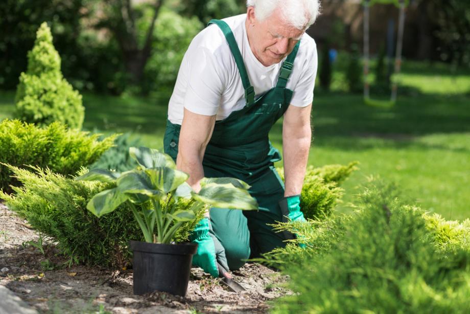 Tablier de jardinage / Pour le jardin intérieur ou extérieur