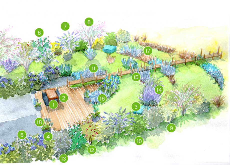 Schéma de réalisation d'un jardin de bord de mer