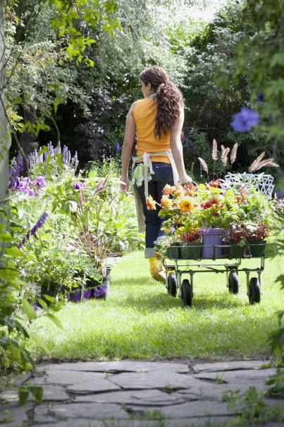 Leçon de paysagisme : 10 préceptes pour un jardin écologique - Gamm vert