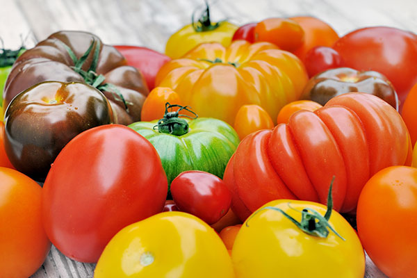 Différentes variétés de tomates