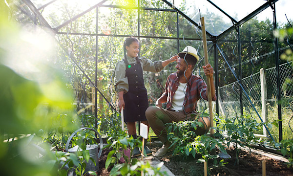 Choisir sa serre de jardin