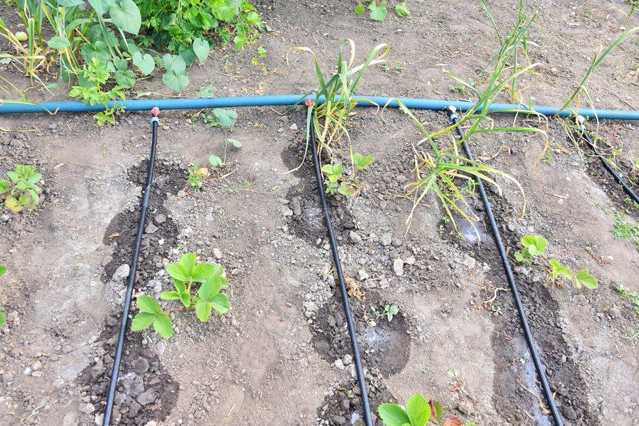 Test: les 10 meilleurs systèmes d'irrigation - Mon Jardin Ideal