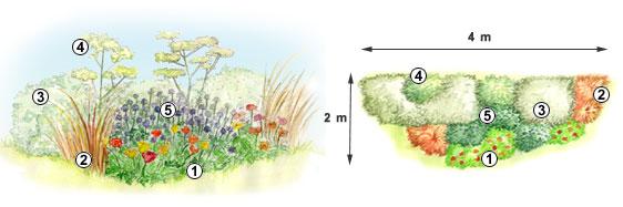 Le schéma d'un jardin contemporain et naturel