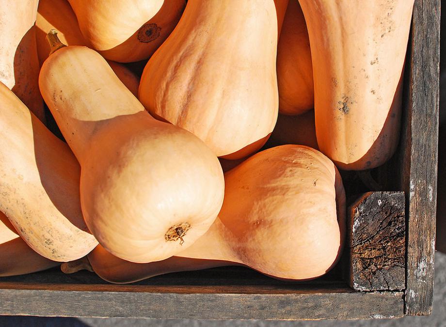 Courge Butternut