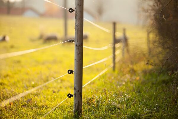Amdohai – clôture électrique pour bétail, étanche, pour animaux