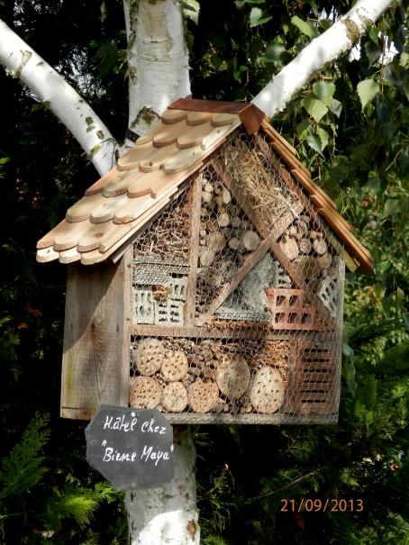 Fabriquez un hôtel à insectes