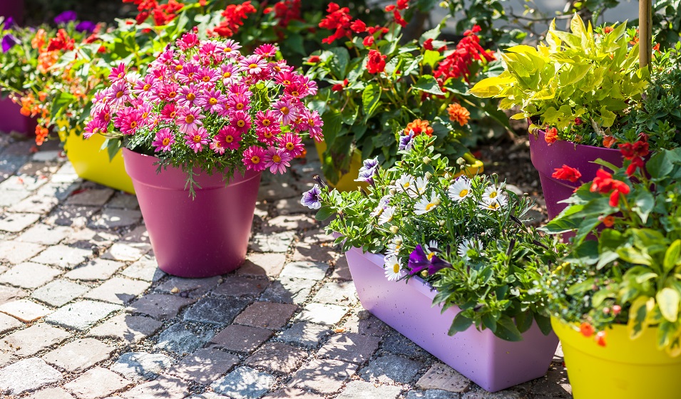 Comment peindre ses pots de fleurs en plastique pour les