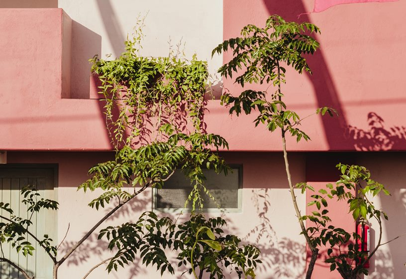 Créer un jardin aromatique sur son balcon - Jardiland
