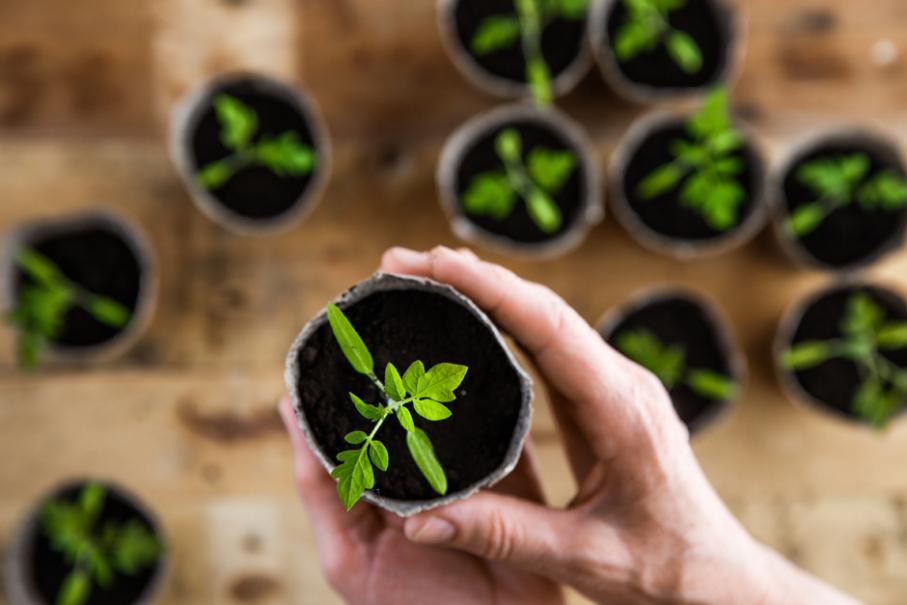 La Pousse Verte - Tuto fabrication pot pour semis biodegradable