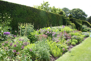 Des mixed-border chargées